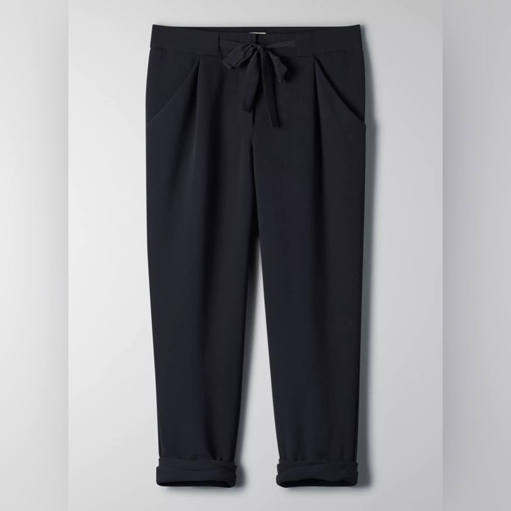 Aritzia Allant Trouser
